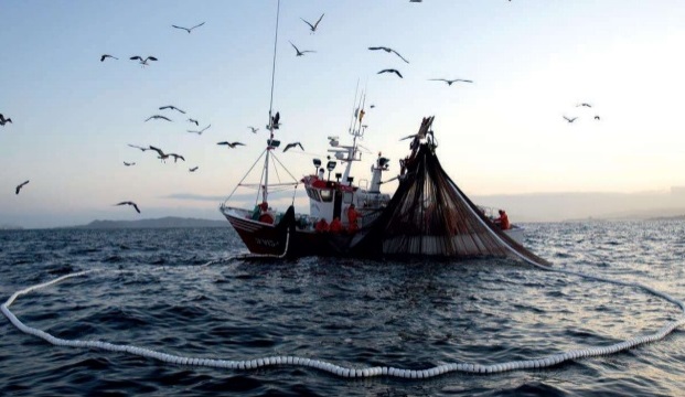 Las diferentes calidades del pescado según el Arte de Pesca