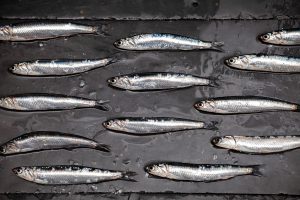 white anchovy
