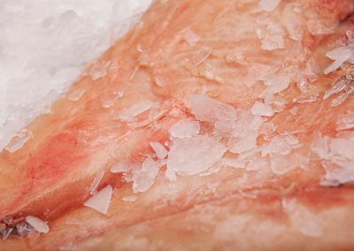 frozen tuna ventresque