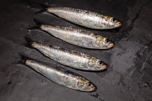 distribucion de sardinas asturpesca