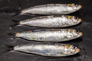 sardinas atlantico pescado msc