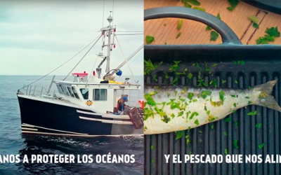 ASTURPESCA, una empresa comprometida con la pesca sostenible