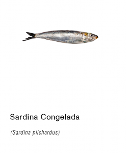 sardina congelada asturpesca