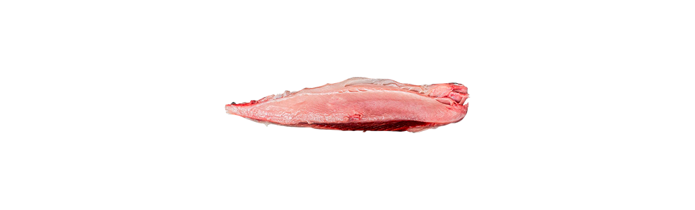 Frozen tuna ventresque (Thunnus alalunga)